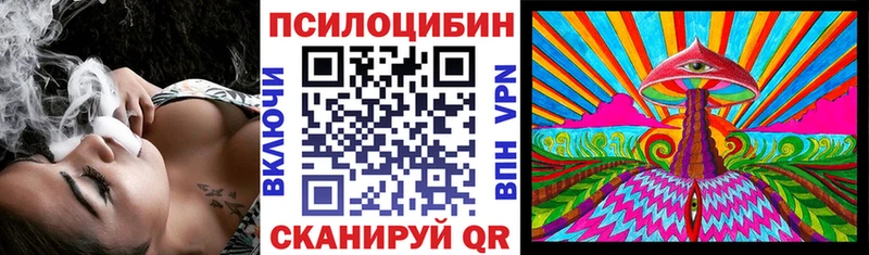 Галлюциногенные грибы Magic Shrooms Купить закладки Багратионовск